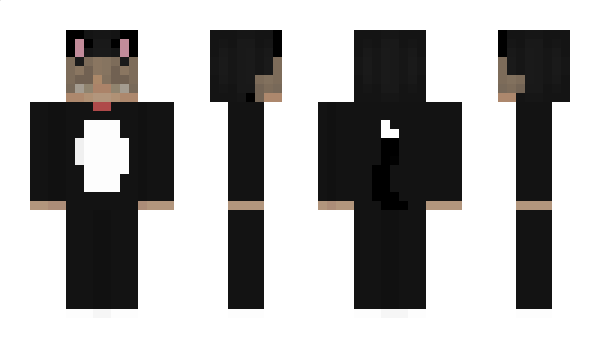 insorb Minecraft Skin