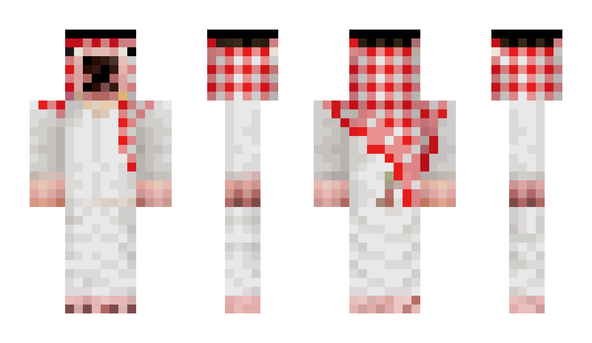 gzui Minecraft Skin