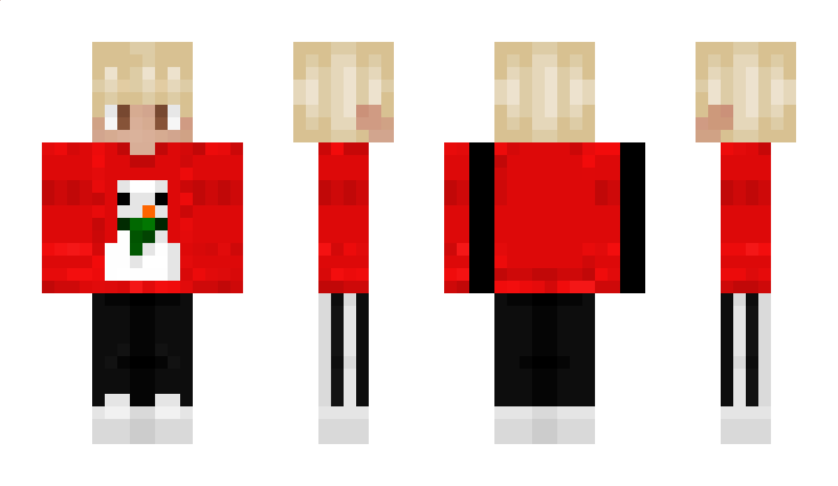 FeluCraft Minecraft Skin