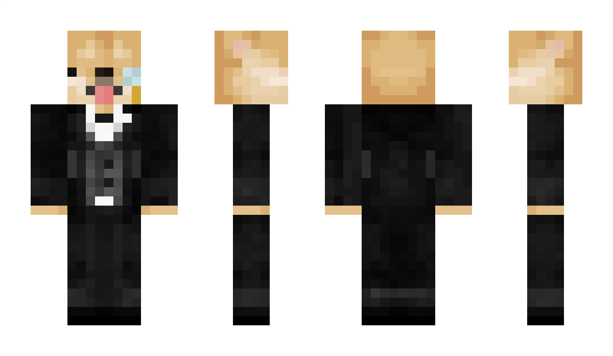 VanillaXD Minecraft Skin