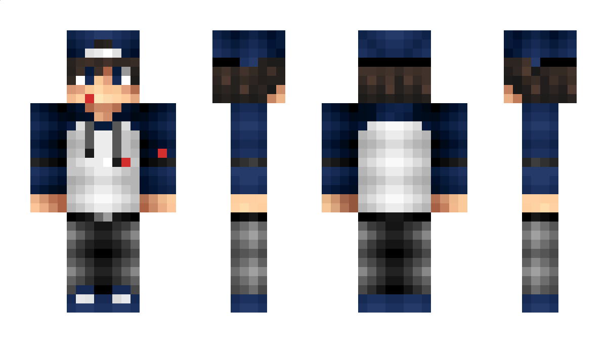 1003 Minecraft Skin