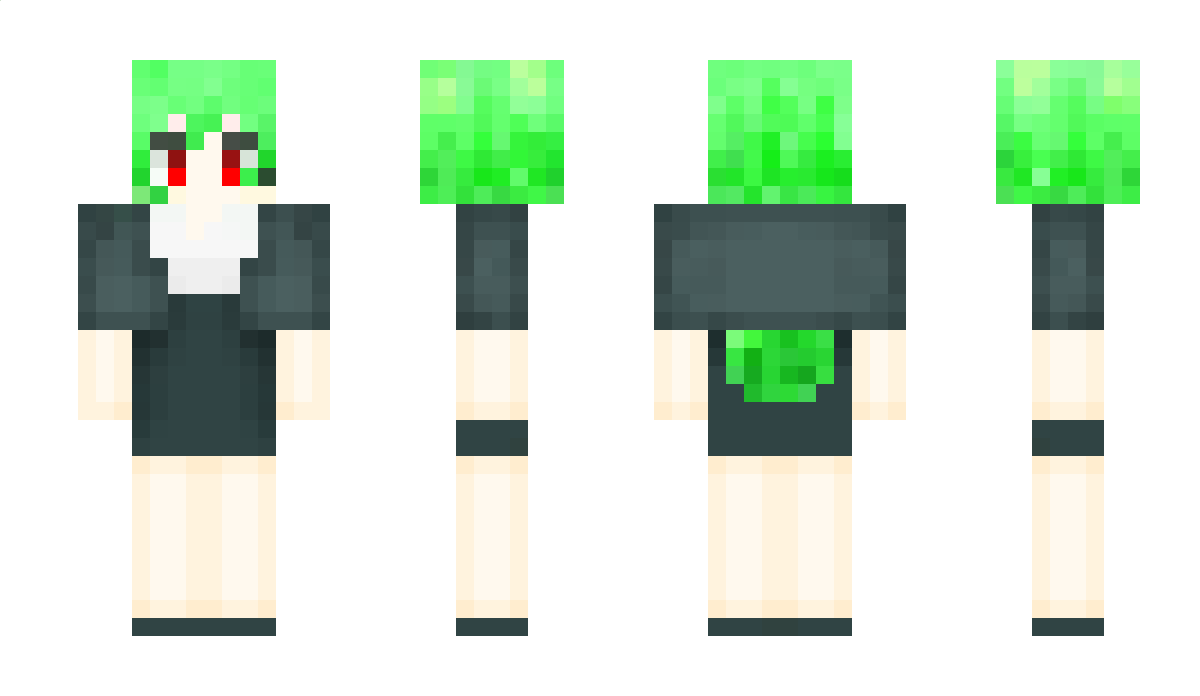 Packed_Ice Minecraft Skin