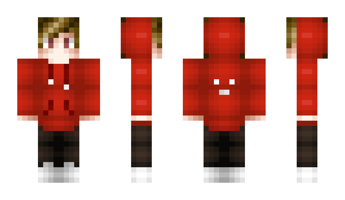 Reflective Minecraft Skin