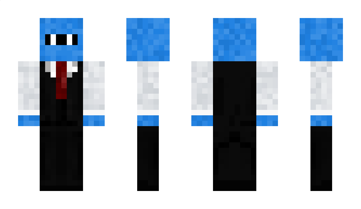 SNowx11 Minecraft Skin