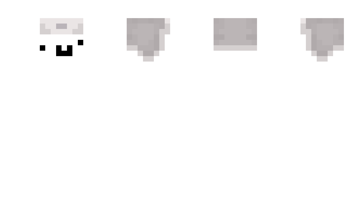 tigertenho399 Minecraft Skin