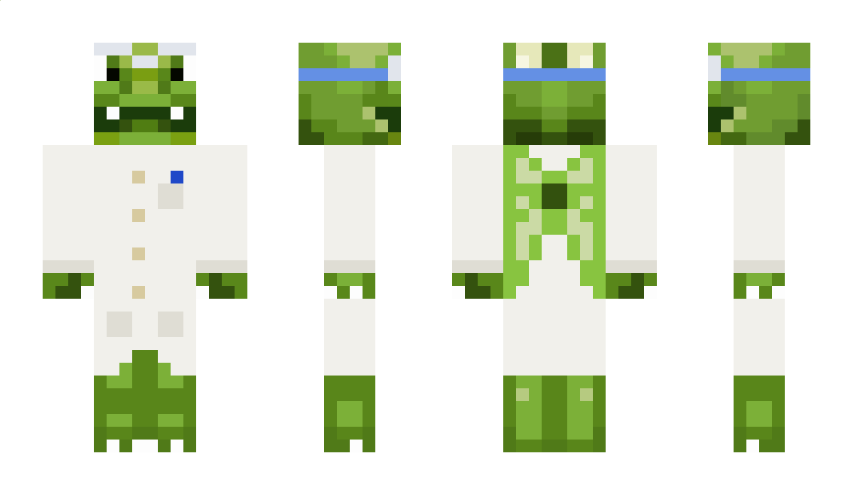 ElvenDragon8064 Minecraft Skin