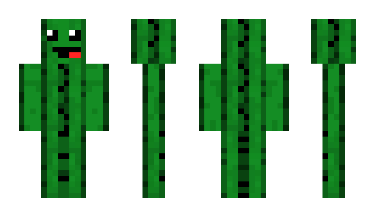 Cactus11 Minecraft Skin