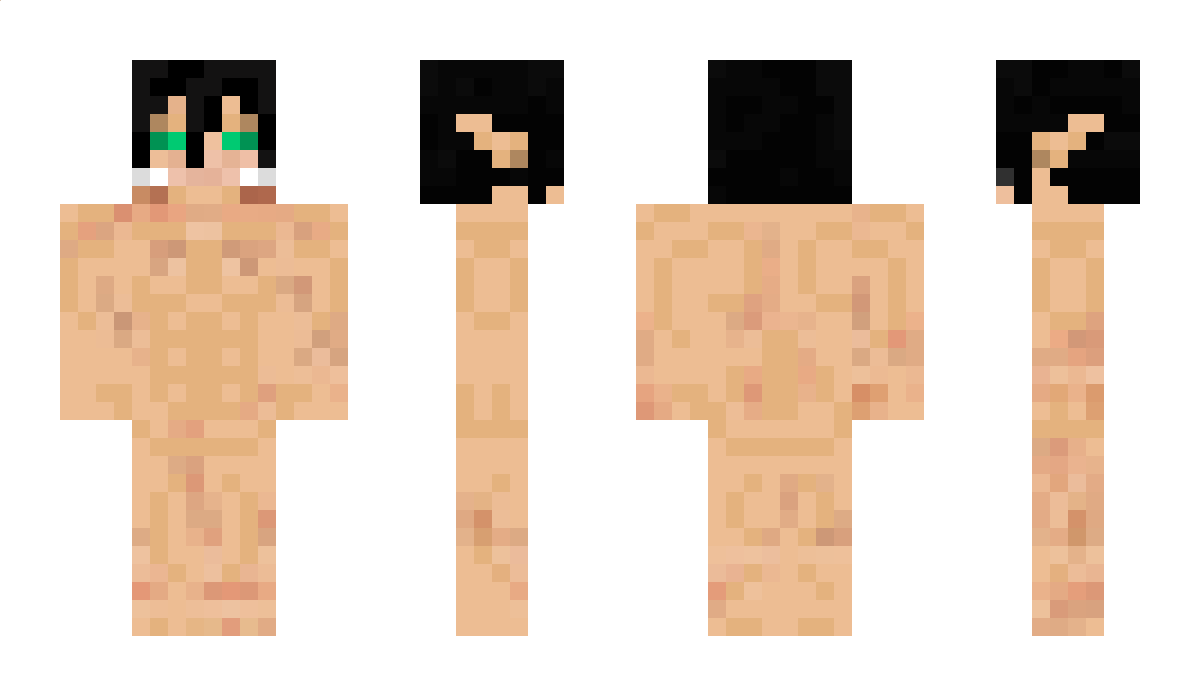 Eliptrckdvd Minecraft Skin