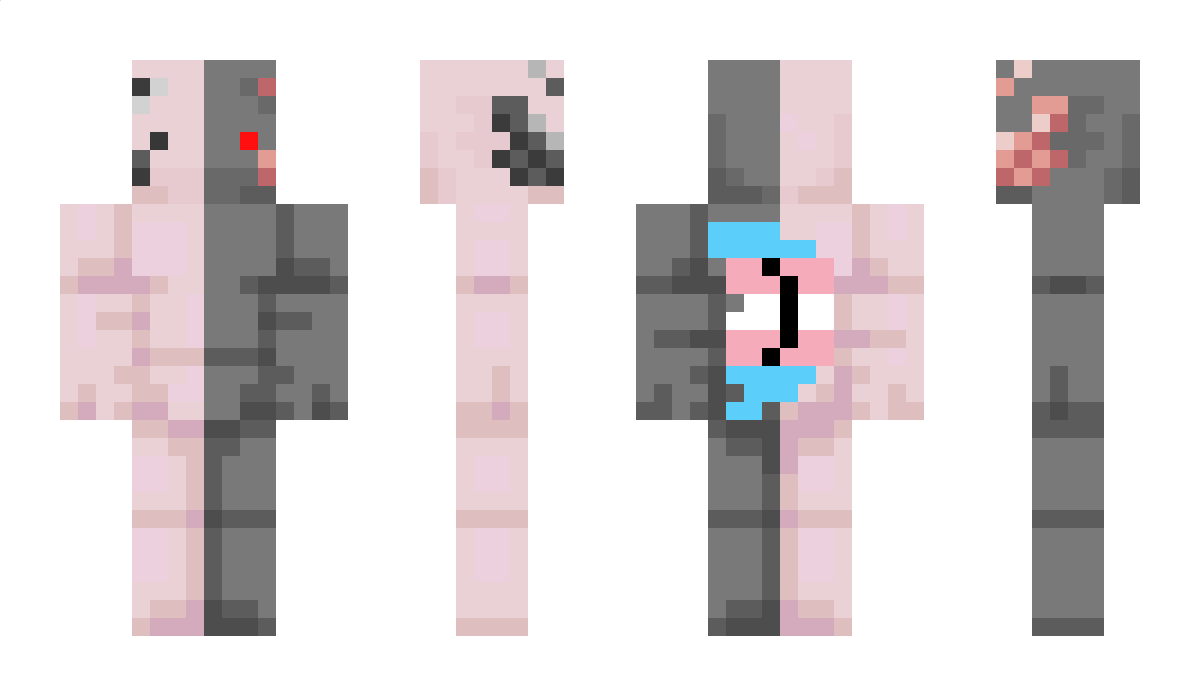 Saxolotl2763 Minecraft Skin