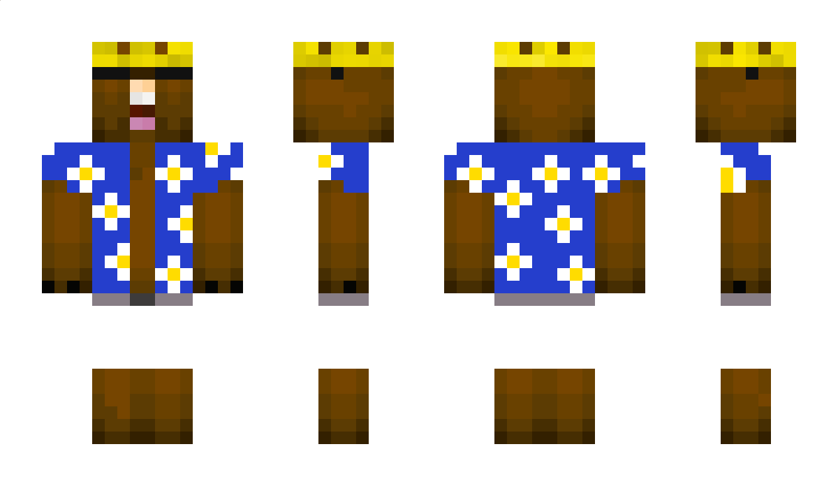 voxsis_s Minecraft Skin