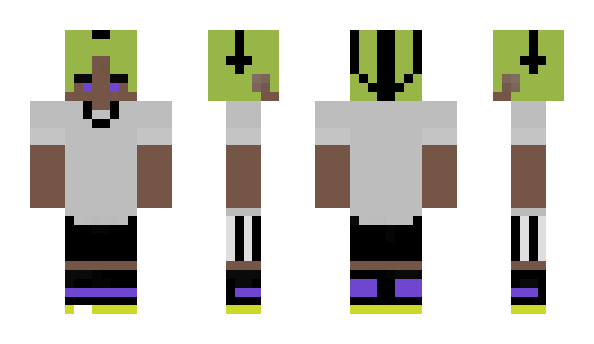 TWTV Minecraft Skin