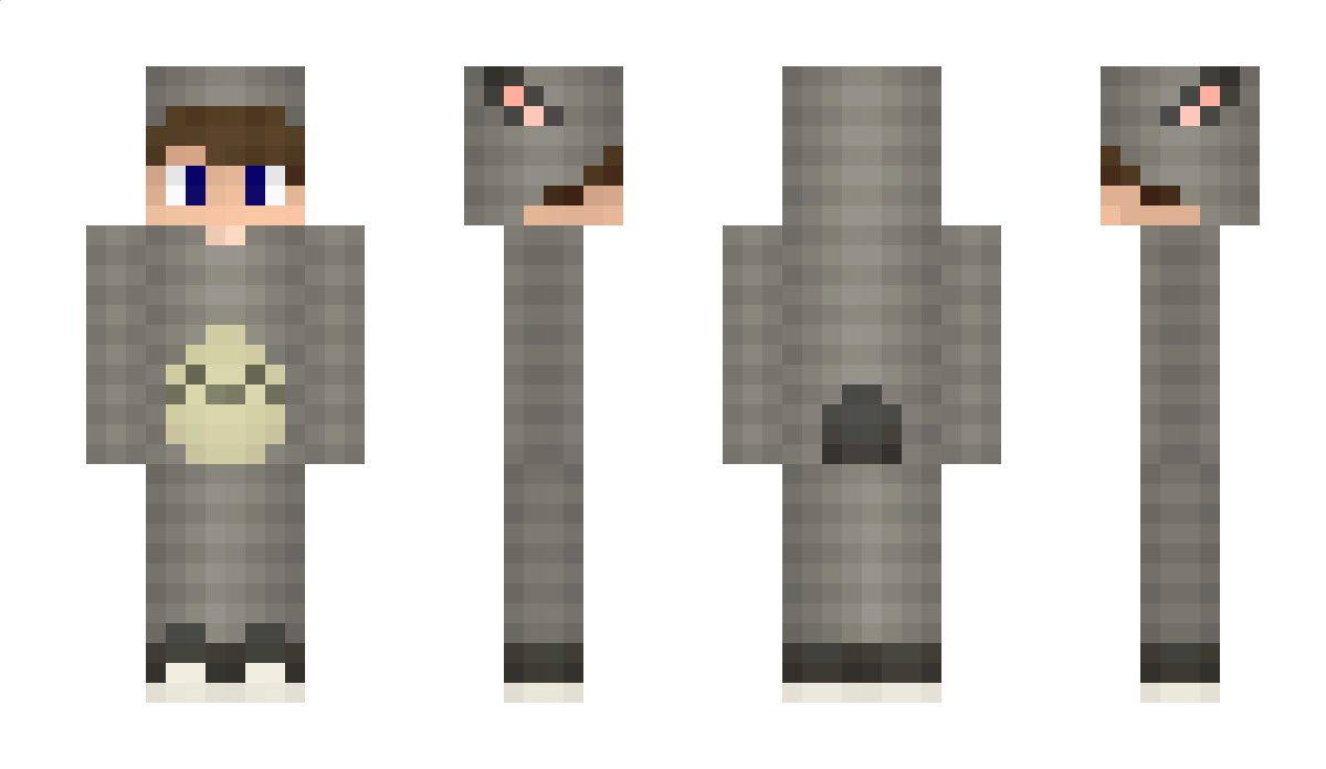 Domi Minecraft Skin