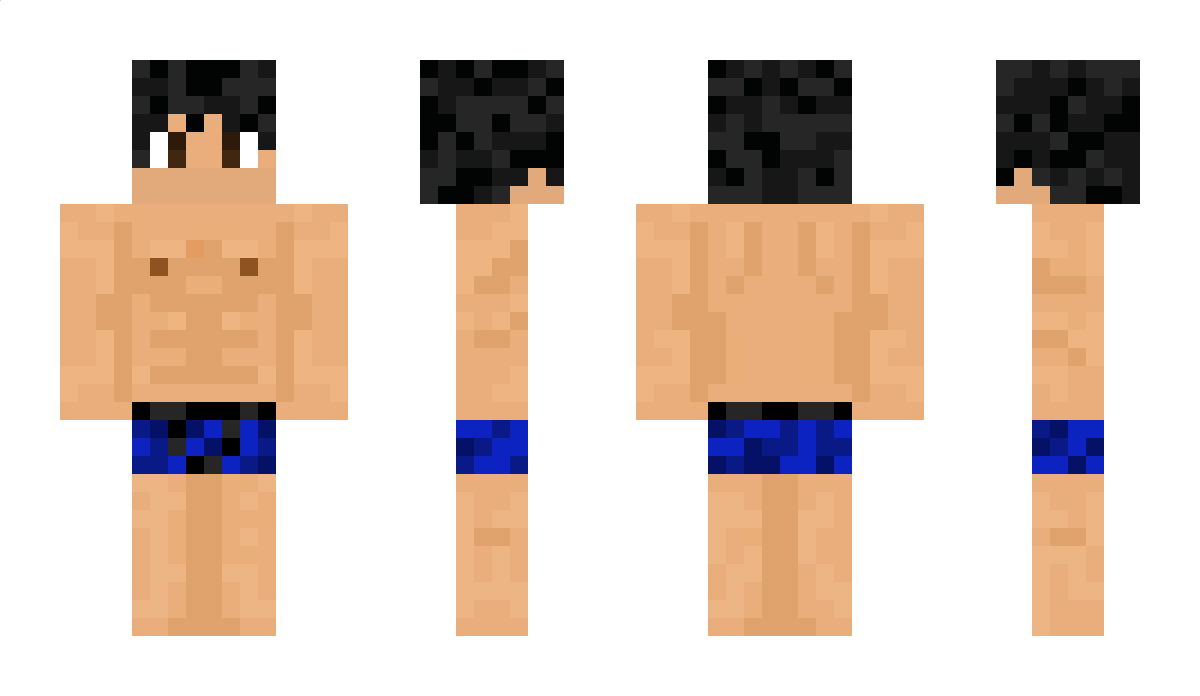 Pantalon Minecraft Skin