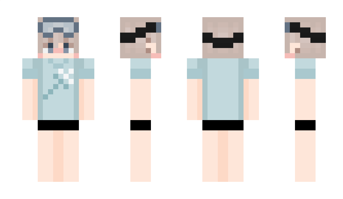 craftcat12 Minecraft Skin