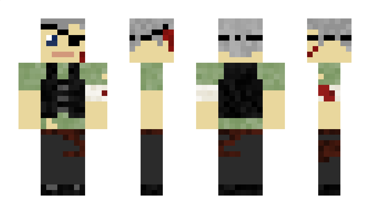 Raphaellos Minecraft Skin