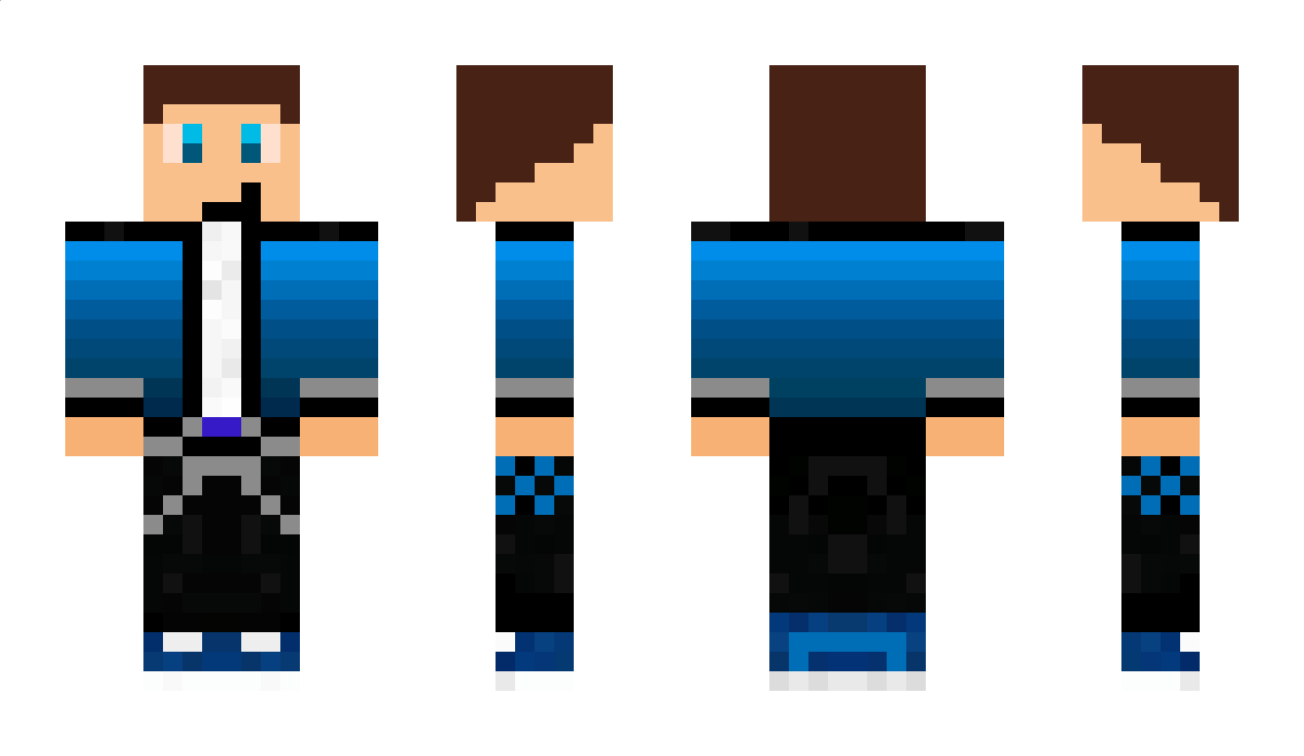 TimToys Minecraft Skin