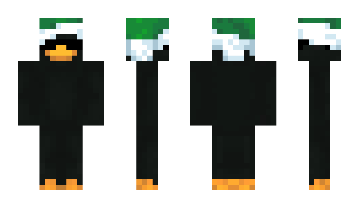 Avoja Minecraft Skin