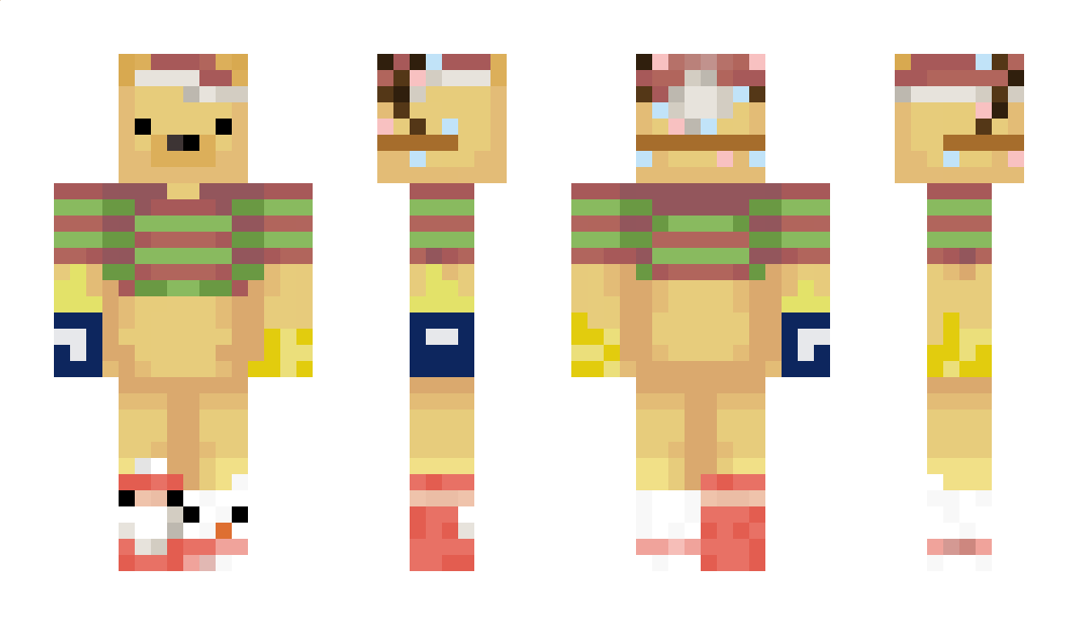 TUETLE Minecraft Skin