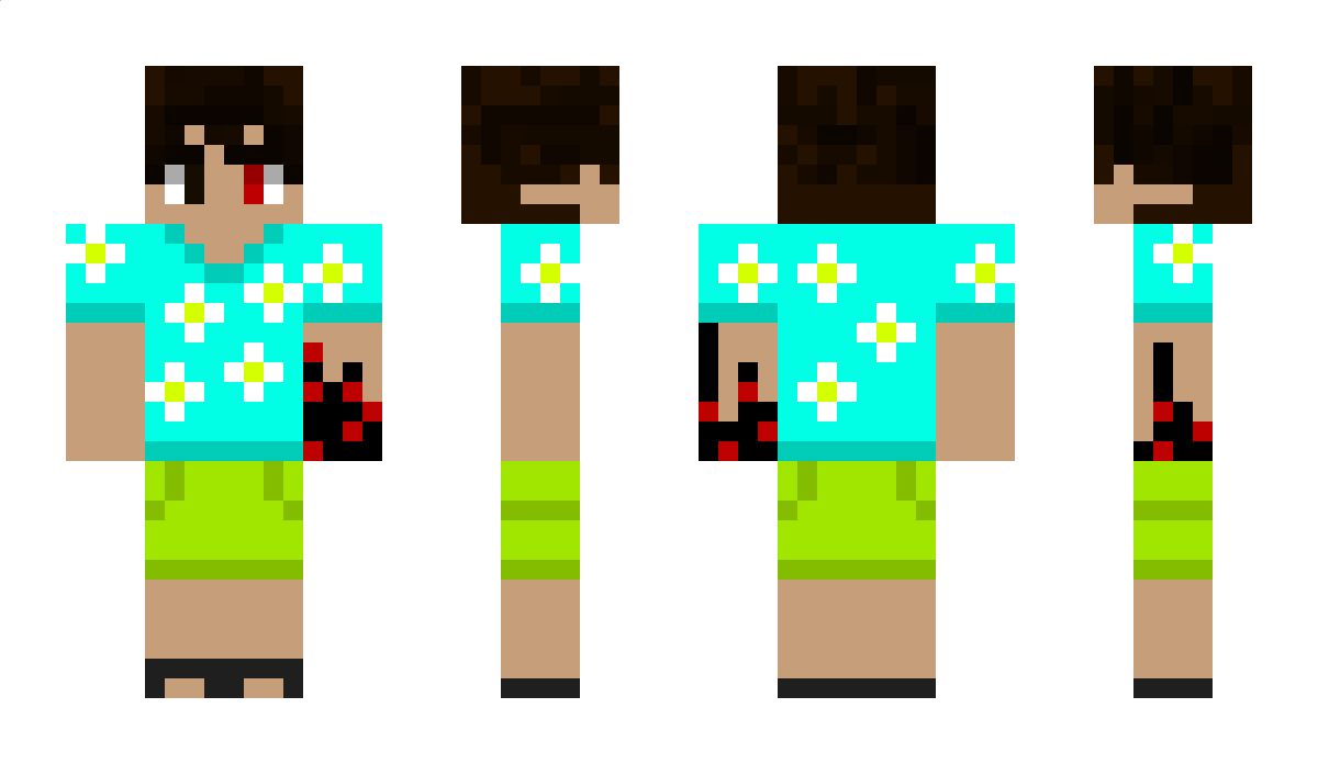 FaramirOfGondor0 Minecraft Skin