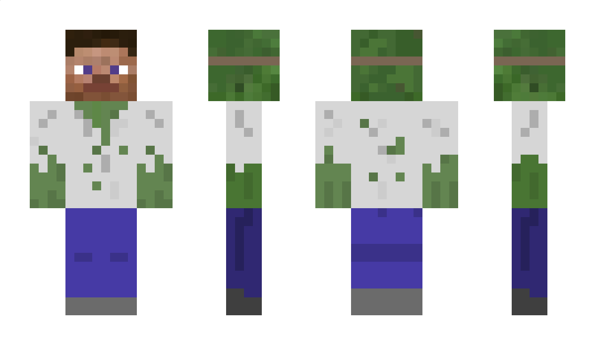 FreeCraft Minecraft Skin