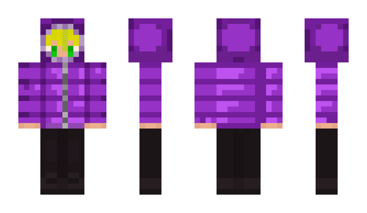 the_Vissy_craft Minecraft Skin