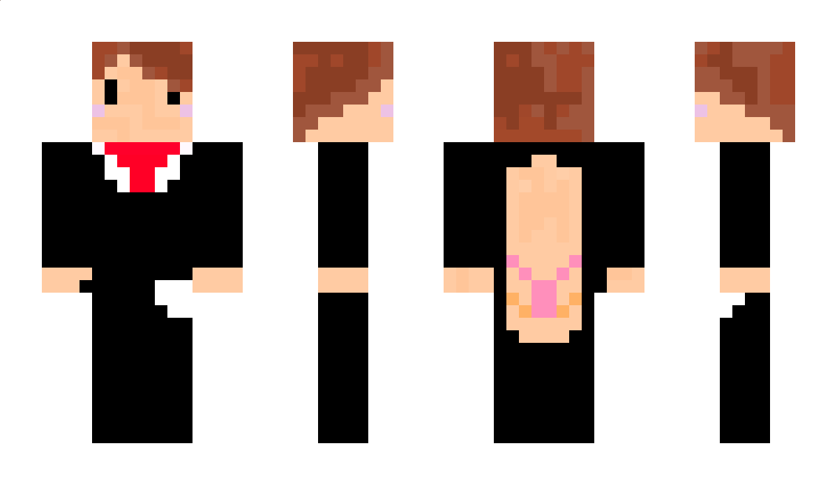 Wektory Minecraft Skin