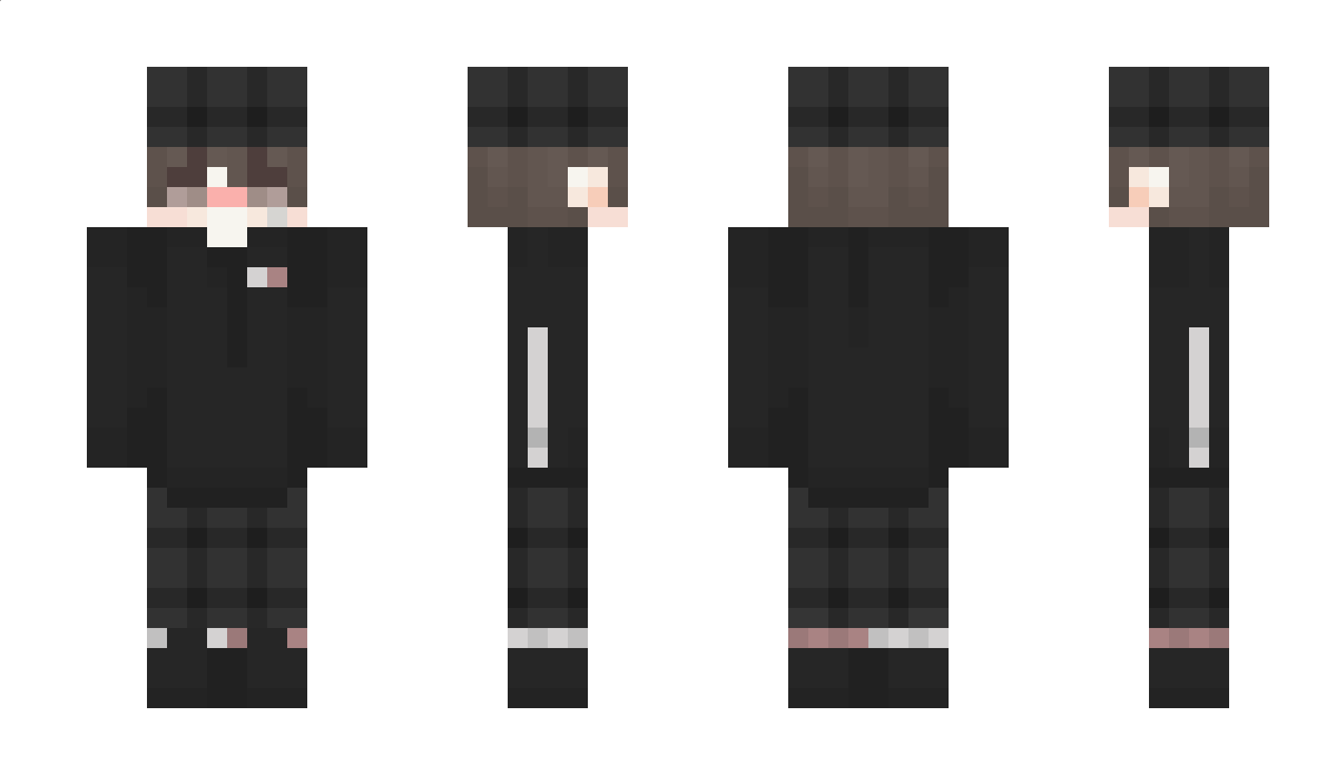 sockfor1 Minecraft Skin