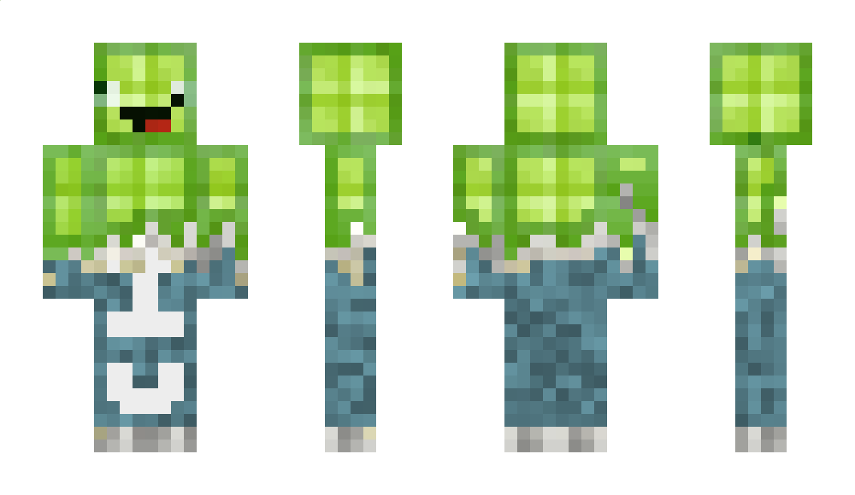 Chomkii Minecraft Skin