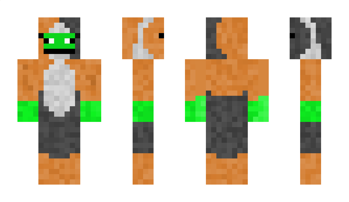 TheFizzyFrogYT Minecraft Skin