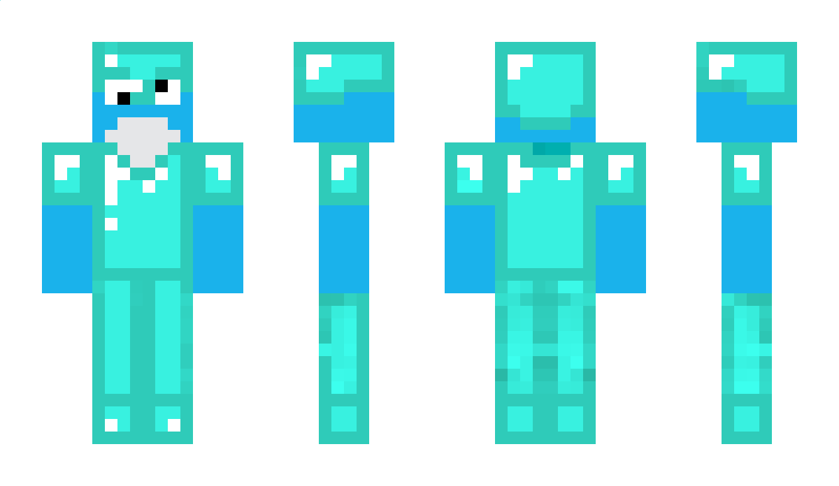 D0LPHIN Minecraft Skin