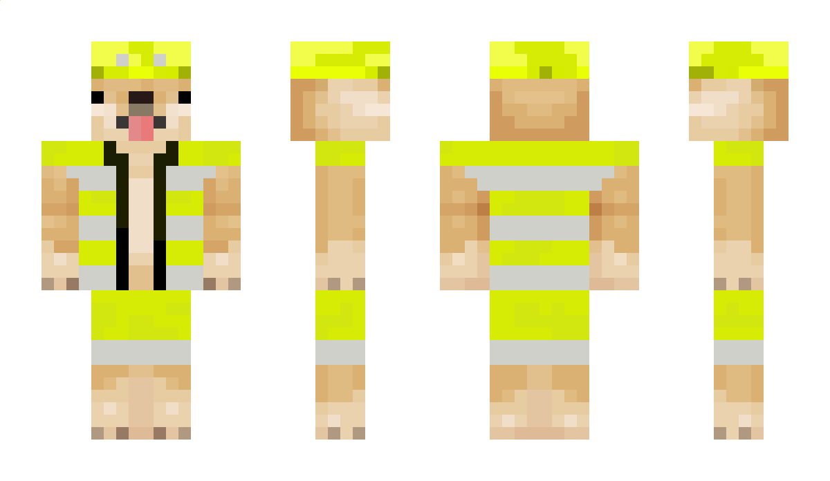 D1v1d_ Minecraft Skin