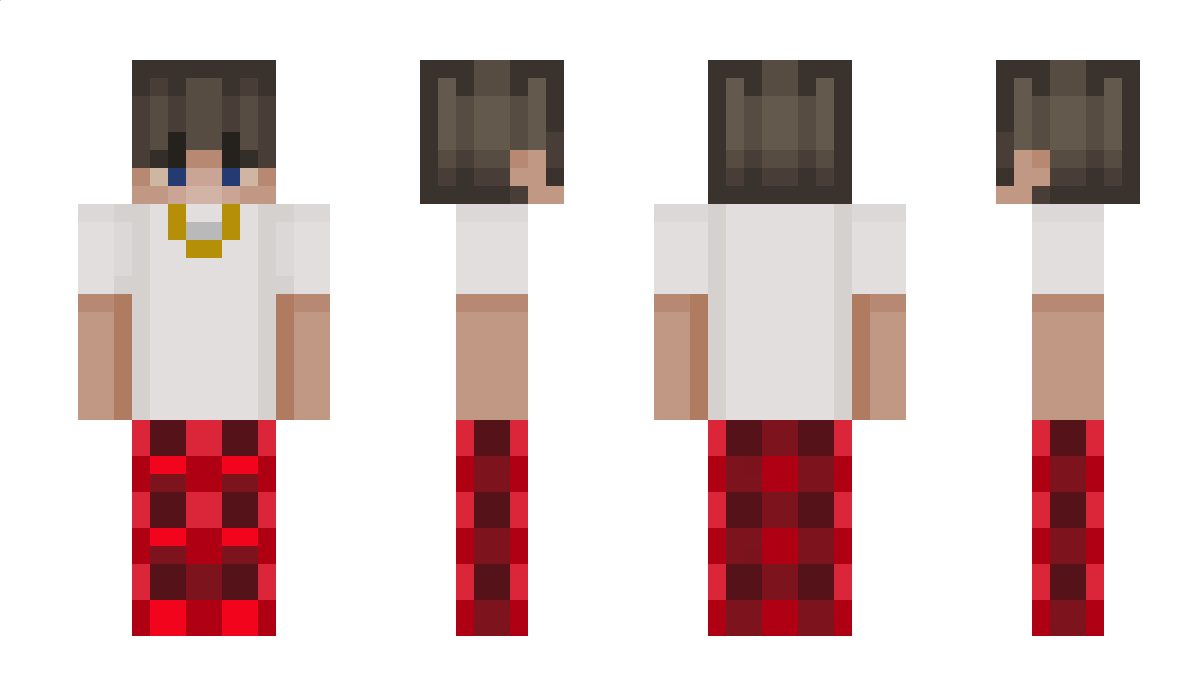 s9c5 Minecraft Skin