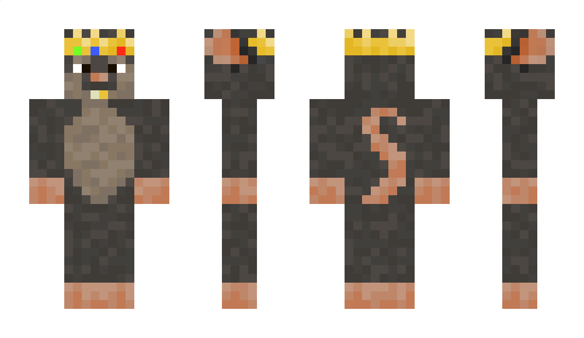 Rat_Tamer Minecraft Skin