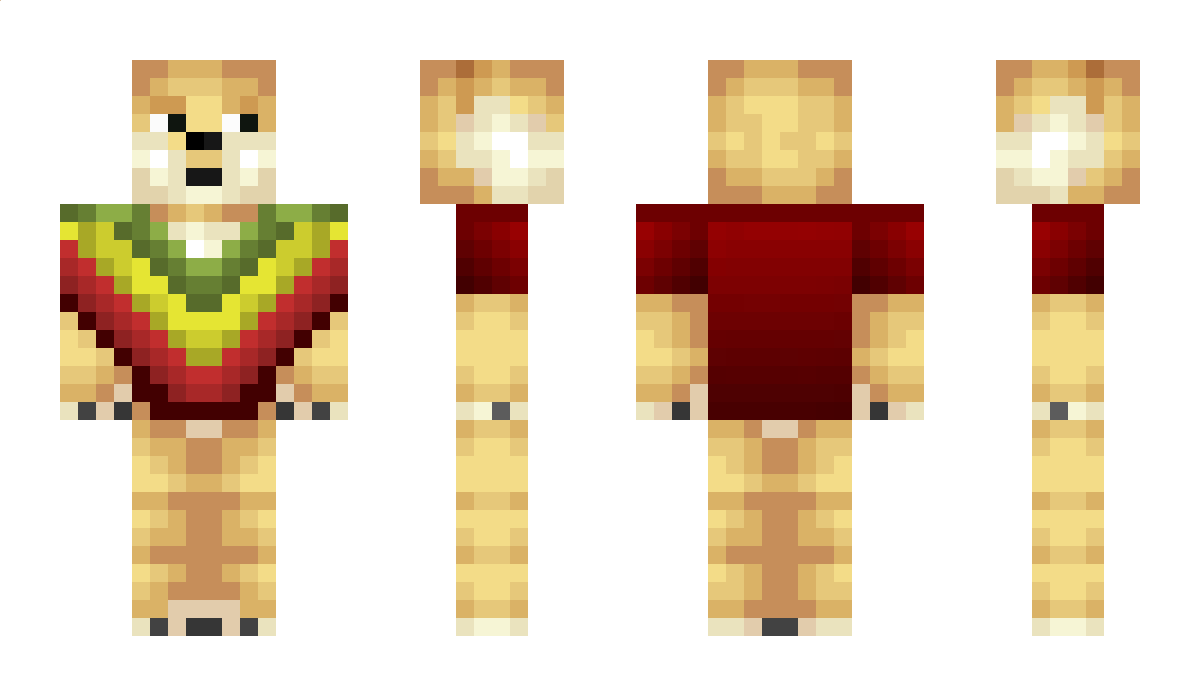 pnL Minecraft Skin