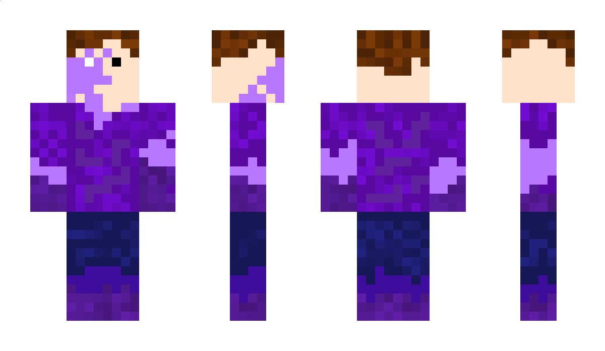 Raion_Metaverse Minecraft Skin