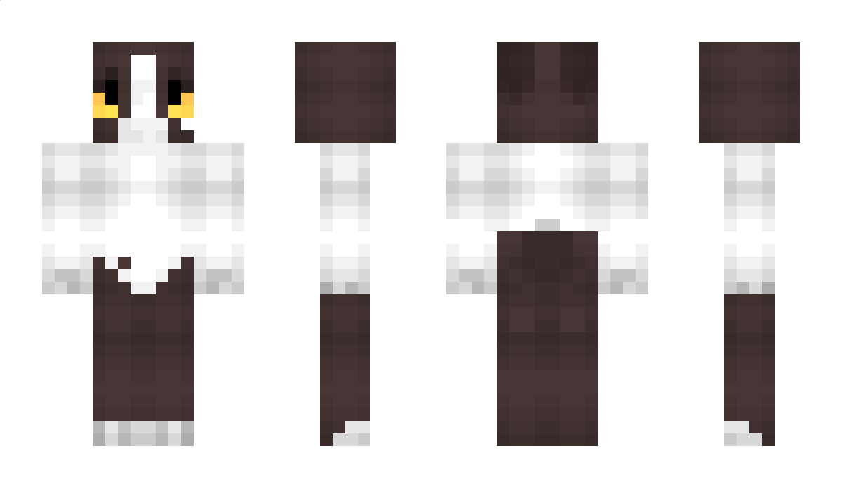 SolSez Minecraft Skin