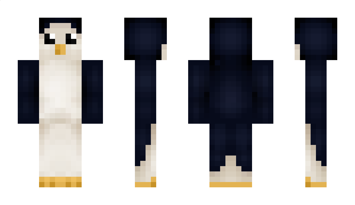 Pengarty Minecraft Skin