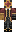 MetalBassoon118 Minecraft Skin