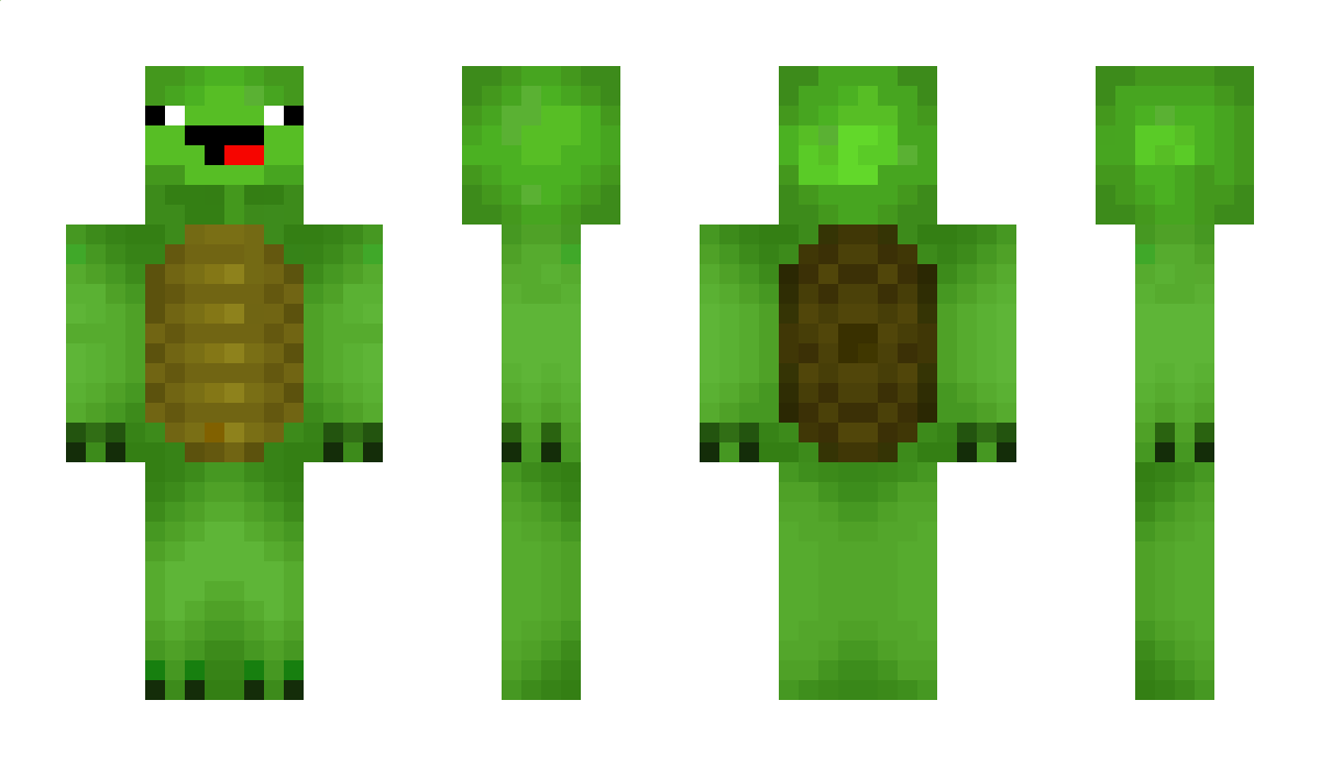 CleanTurtle13 Minecraft Skin