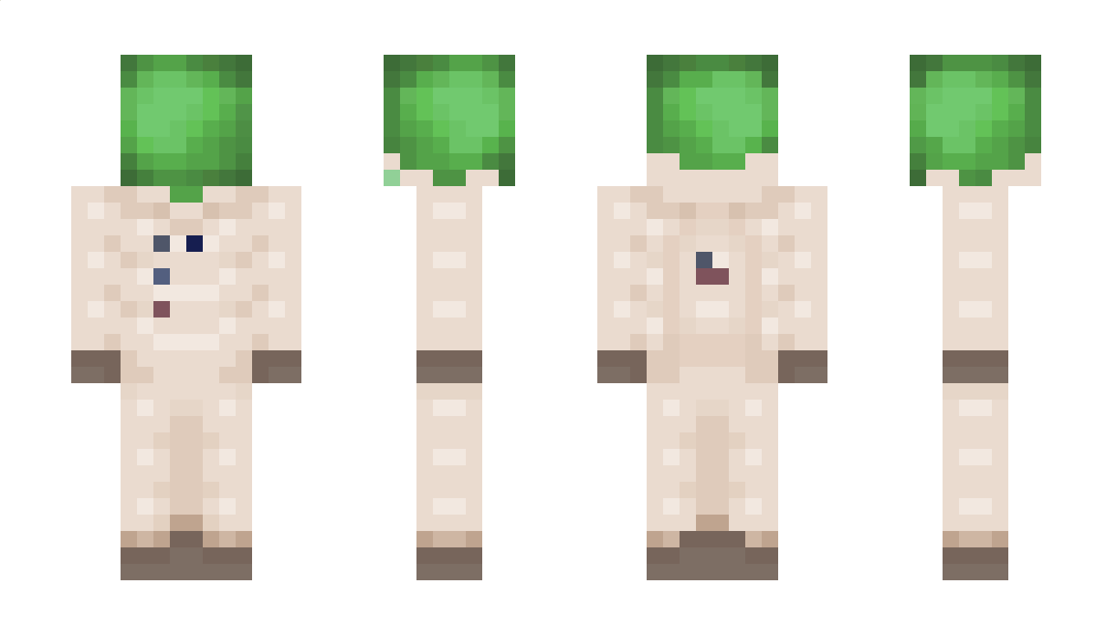 _Cl0s3_ Minecraft Skin