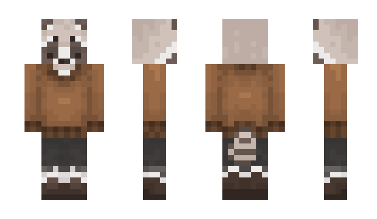 RaccoonBudge Minecraft Skin