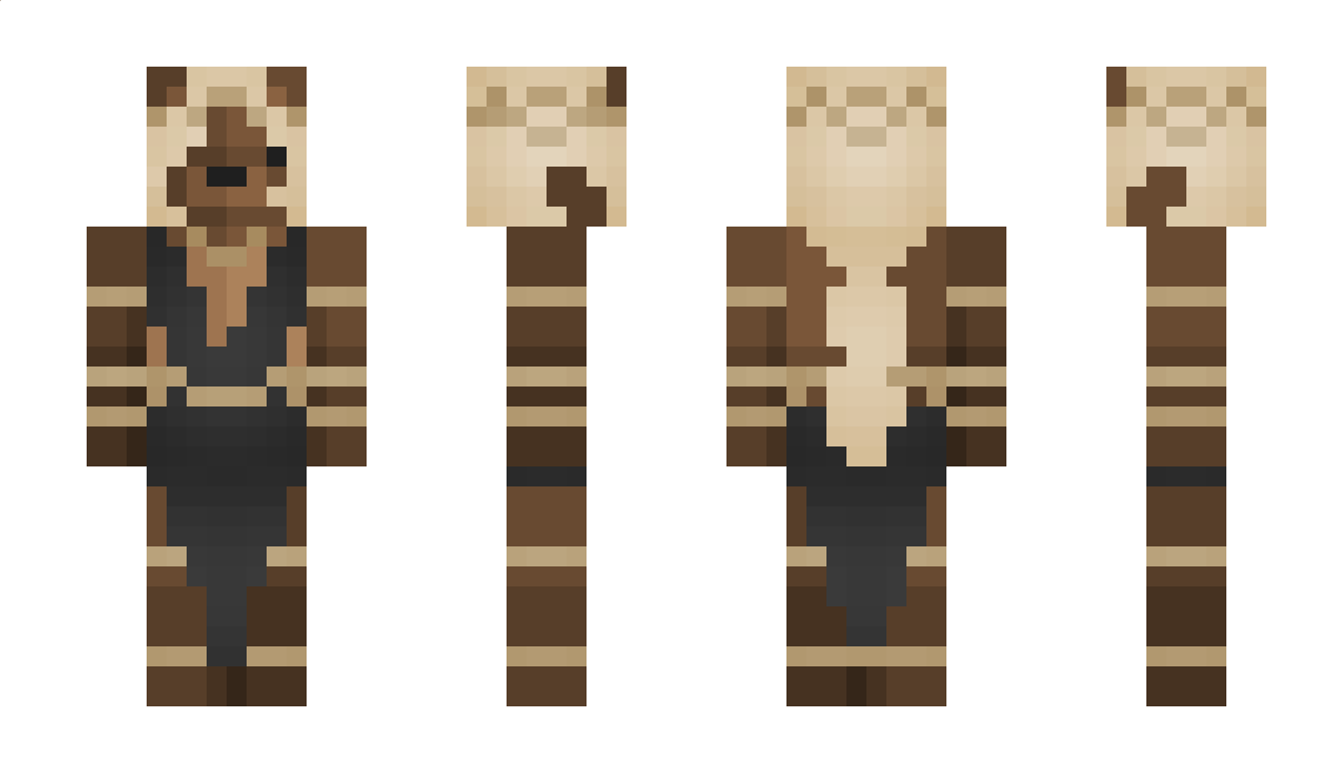 dirtbear1 Minecraft Skin