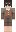 Twinkinalaundryb Minecraft Skin