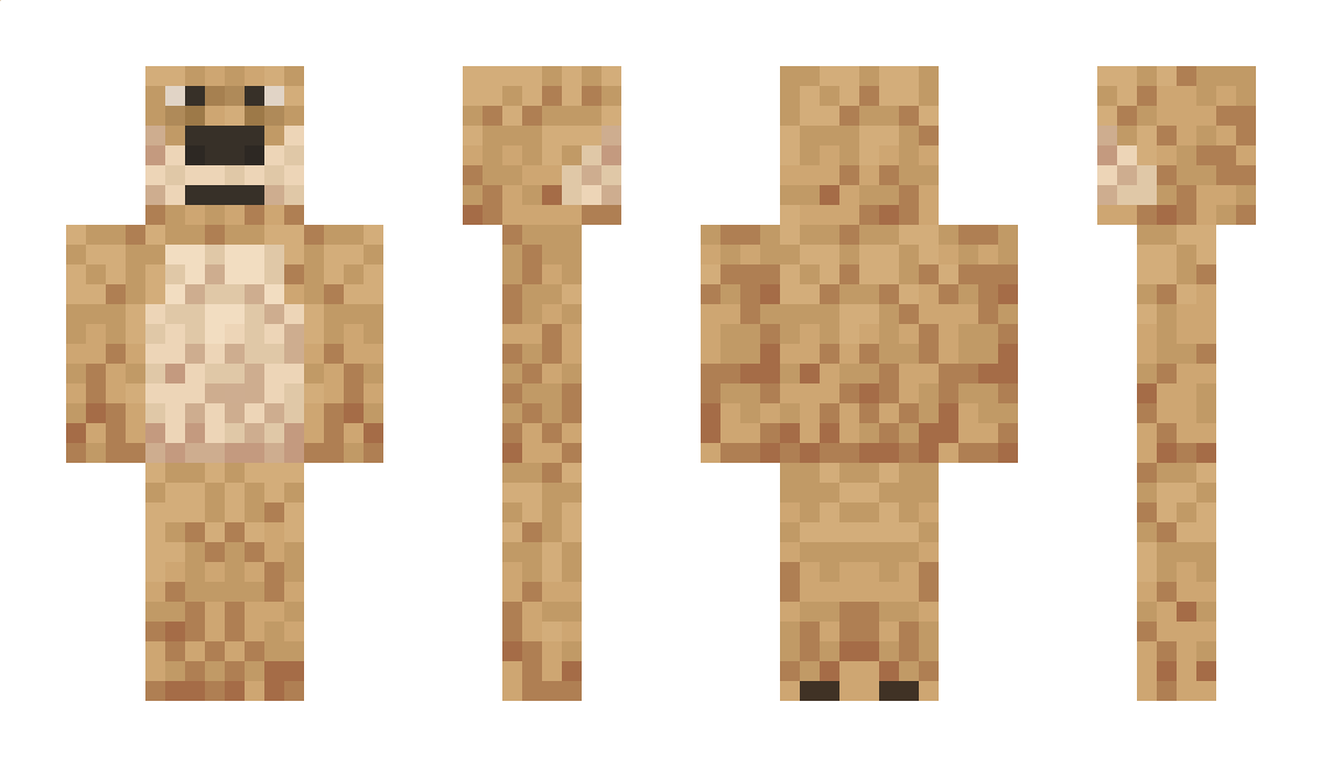 toakie Minecraft Skin