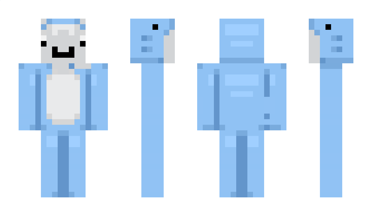 Airskyx Minecraft Skin