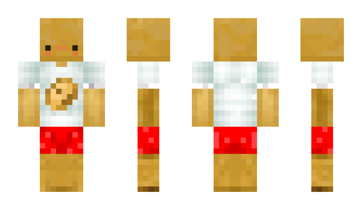 LoomBoomBROOM Minecraft Skin