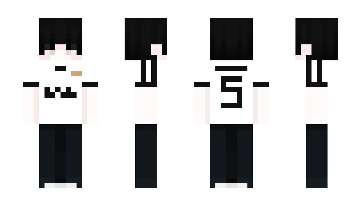 HeizeVerse Minecraft Skin