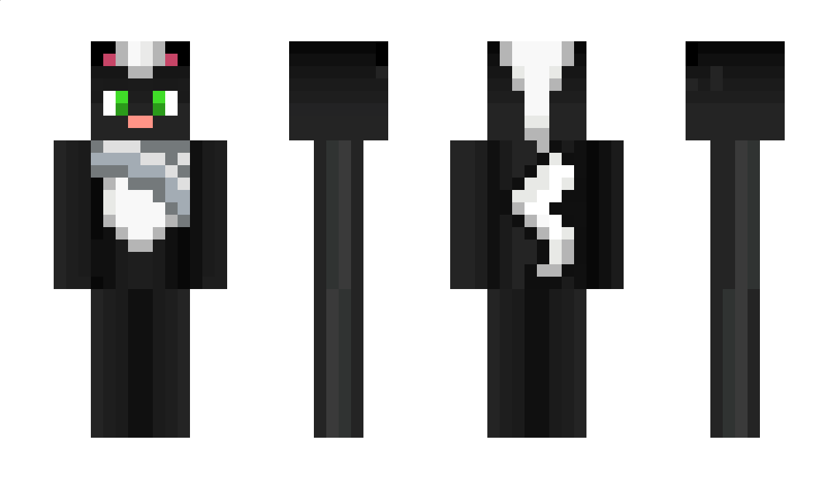 Skunked Minecraft Skin