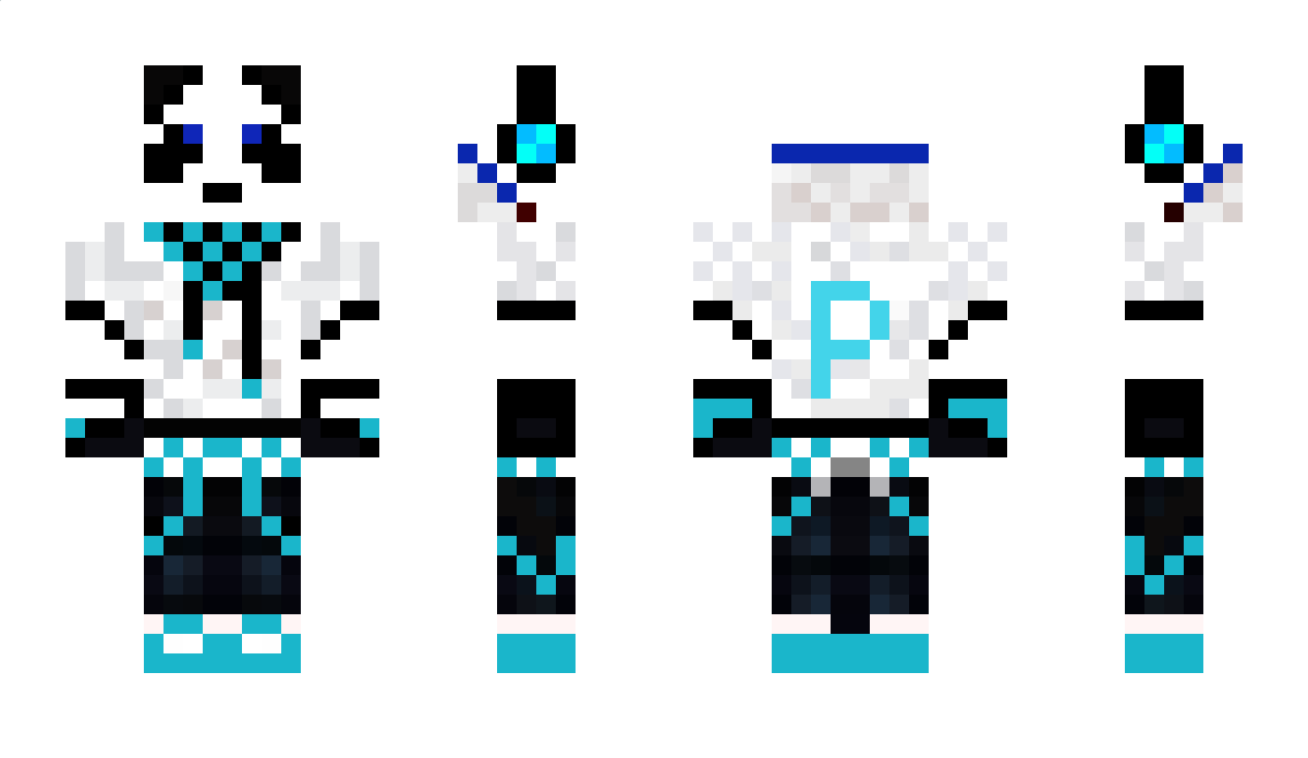 PandaGamers Minecraft Skin