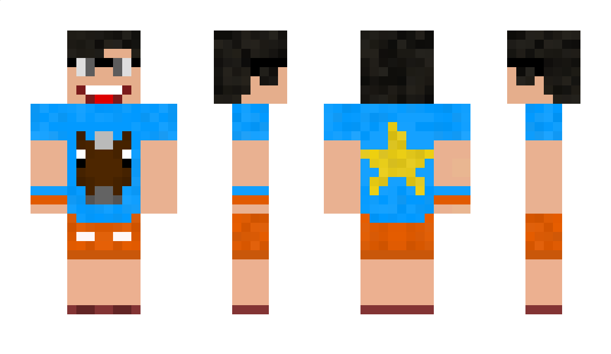 Zibbidi Minecraft Skin